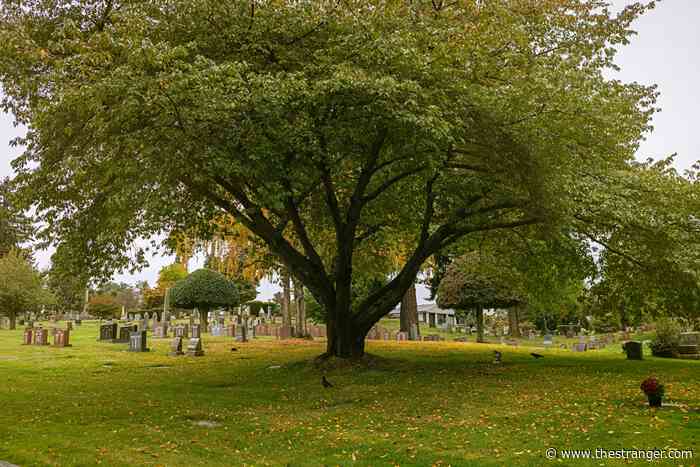 Why Visiting Cemeteries Is Good for You