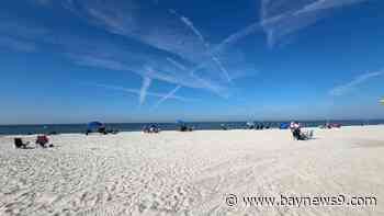 More Manatee beaches to open next week, officials say