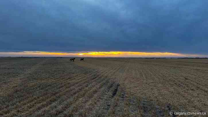 Warm weekend ahead but next week, temperatures will drop off fast