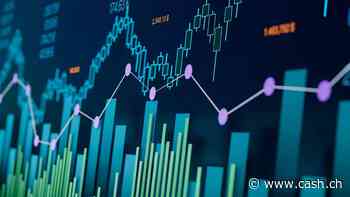 «Wir erwarten Nettorenditen von 12 bis 15 Prozent pro Jahr»
