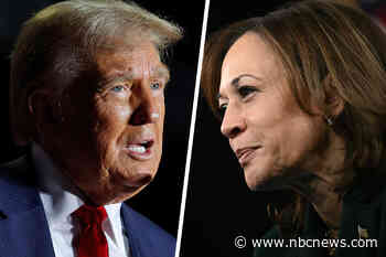 Voters who sat out 2020 weigh whether to jump in for Trump or Harris this time