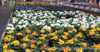 'Huge' Lancashire garden centre with 70-year history among the best in the UK