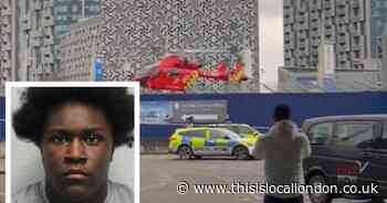 Teen who stabbed boy with sword in front of kids at The O2 has sentence cut