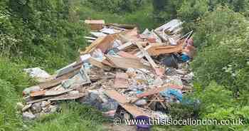 Woman fined after huge fly-tip blocks path in Biggin Hill