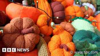 Knitted pumpkin display back for second year