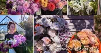 Wirral’s first pick your own flower farm set to open in 2025