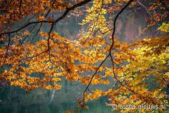 Overwegend droog en zacht herfstweer