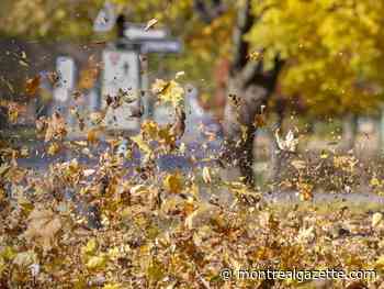 Montreal weather: Hold on to your hats ... oh, that is so passé now