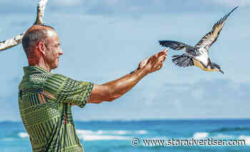 Kauai students celebrate release of rescued Newell’s shearwaters