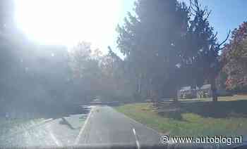 Video: Verblindende zon verrast automobilist