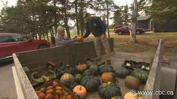 Lac du Bonnet volunteers grow food security through community garden