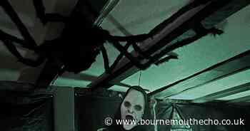 Pub creates scare room in cellar for Halloween