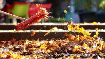 Unfallgefahr in Salzgitter: Laub auf Gehwegen