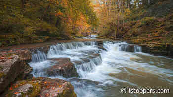 Transform Your Fall Photos with Simple Lightroom Adjustments