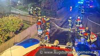 Beim Brand in einer Bonstetter Wohnung sterben zwei Katzen