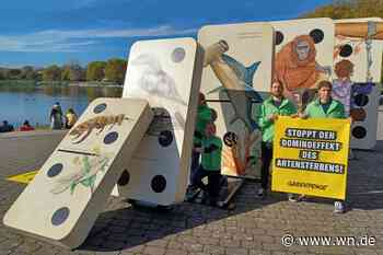 Greenpeace warnt vor „Domino des Artensterbens“