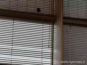 Pipistrello nella sala lounge dell'aeroporto: l'ospite inatteso tra i passeggeri