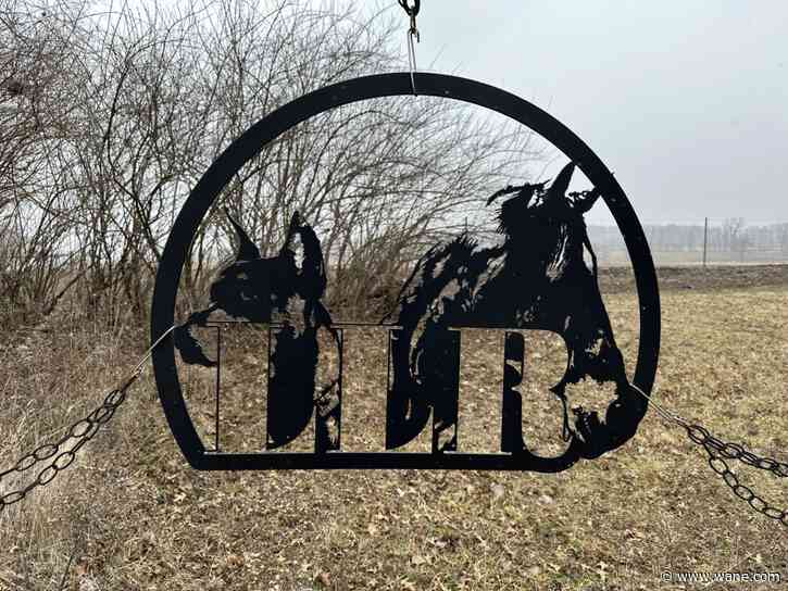 Animal lovers invited to Trick or Treat at the Barn