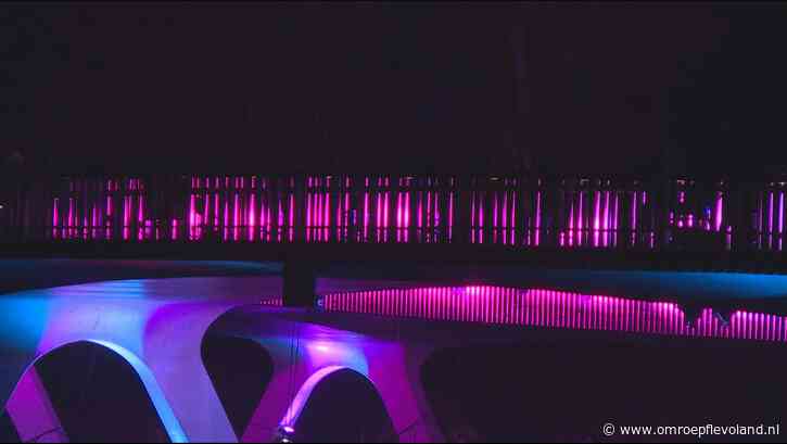 Almere - Lichtfestival ALLUMINOUS transformeert stad: 'Almere lijkt sprookjesachtig'