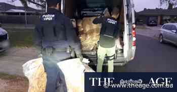 Why smuggle it when you can grow it? The surge in illicit tobacco crops