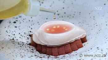 Der Fluch der Michelin-Sterne: Warum Spitzenküchen «ein betriebswirtschaftlicher Wahnsinn» sind