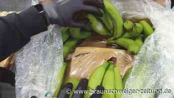 Rekordfund in Spanien: Fahnder entdecken 13 Tonnen Kokain