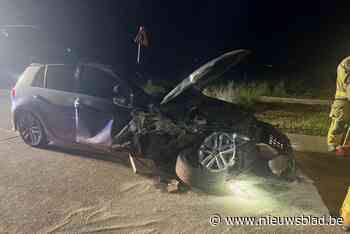 Inzittenden ongedeerd nadat auto tegen boom rijdt