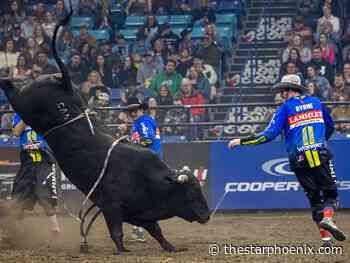 Q&A: Tanner Byrne takes the bull by the horns