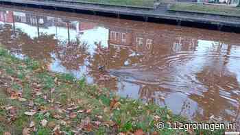 Brandweer redt ree uit het water in Ter Apel