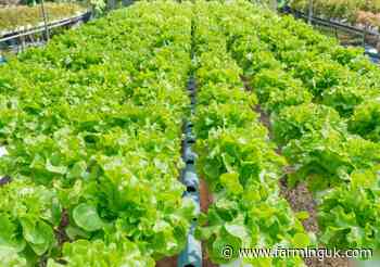 'Substantial obstacles' hurting grower confidence, sectors warn