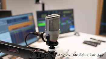 Kritik an Einbindung elektronischer Medien in Radio- und TV-Gesetz