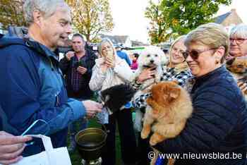 Jaarlijkse dierenwijding van Oostakker lokt steeds meer volk: “Nog eens iedereen samenbrengen voor het winter wordt”