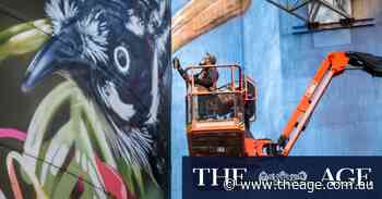 ‘Photo in the sky’ draws streams of curious onlookers to this town