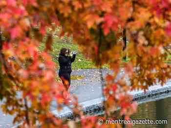 Montreal weather: Crisp and cool