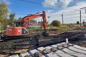 Geen treinverkeer vanuit Mechelen richting Londerzeel en Willebroek tijdens herfstvakantie door werken: “De sporen worden volledig vernieuwd”