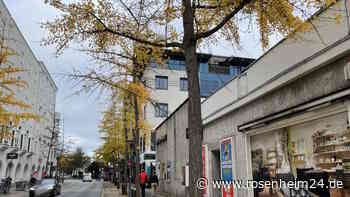 Hundekot, Erbrochenes? Das ist der wahre Grund für den Gestank in Rosenheims Prinzregentenstraße