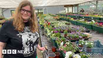 SEND campus shuts public garden centre and cafe