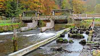 Höhere Ausgaben, weniger Förderung: So stark muss Altensteig seinen Haushalt anpassen