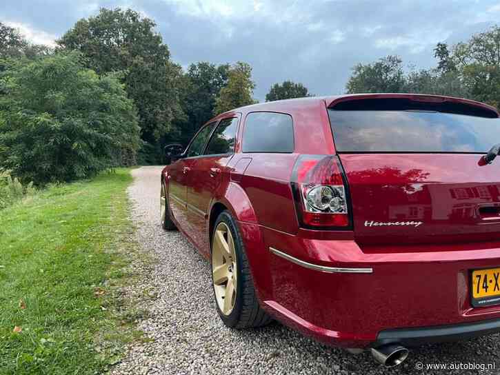 Pluk deze exotische estate met 500 pk van Marktplaats!