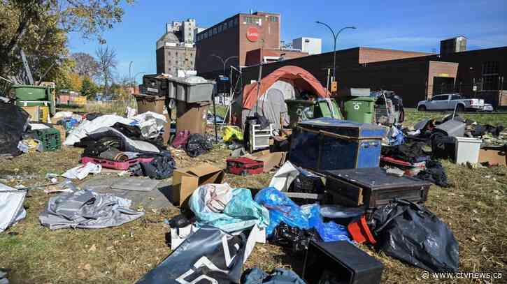 Canadian cities struggling to get past 'Whac-A-Mole' solution to homeless encampments