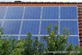 Konflikte zwischen Photovoltaik und Bäumen in Paderborn