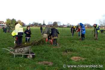 Natuurpunt nodigt uit voor tweede bosaanplant in Waarloos