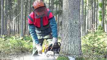 Quartalsabschluss in Altensteig: Steuern und Holzverkäufe spülen Geld in die Stadtkasse
