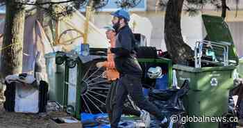 Canadian cities struggling to get past ‘Whac-A-Mole’ solution to homeless encampments