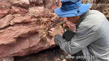 Historic Dinosaur Fossil Discovered in Hong Kong's UNESCO Geopark