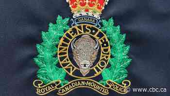 Pair charged in violent Sask. carjacking as search continues for 2 more suspects