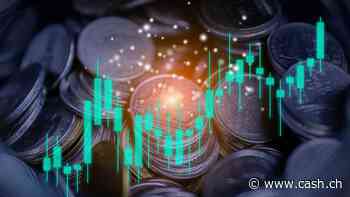 Diese Schweizer Compounder-Aktien gehören auf jede Watchlist