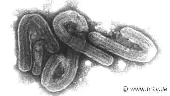 Zoonose wahrscheinlich: Ruanda kommt Ursprung von Marburg-Ausbruch auf die Spur