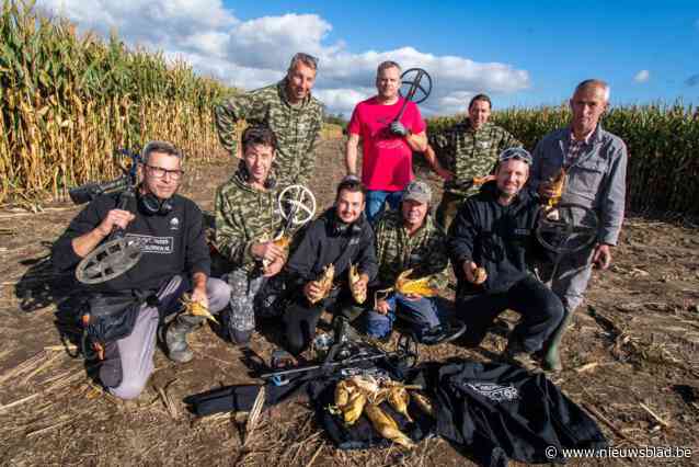 Vandaal doorboort maïs boer Daniël (65) met grote nagels, maar metaaldetectoristen komen oogst redden: “We moesten 100.000 planten controleren”