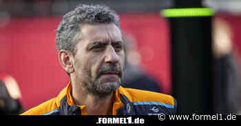 Andrea Stella: Es ist an der Zeit, die Racing-Richtlinien zu überdenken